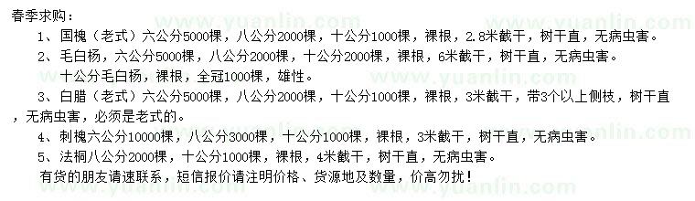 求購老式國槐、毛白楊、刺槐等