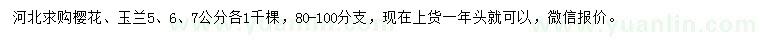 求購5、6、7公分櫻花、玉蘭