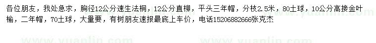 求購速生法桐、直柳、高接金葉榆