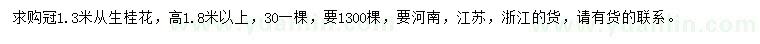 求購冠1.3米從生桂花