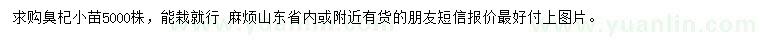 求購(gòu)臭杞小苗
