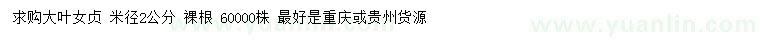 求購米徑2公分大葉女貞