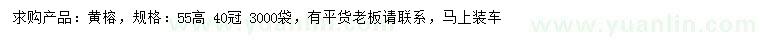 求購(gòu)高55公分黃榕