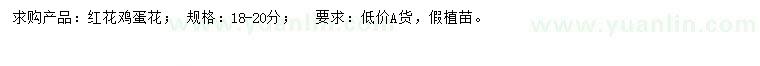 求購18-20公分紅花雞蛋花