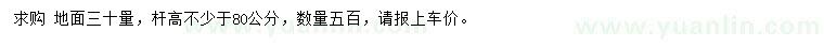 求購30量5公分紅梅