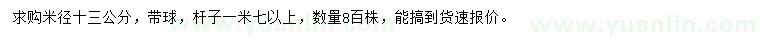 求購米徑13公分柚子樹