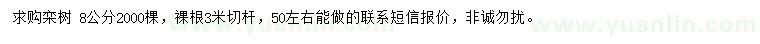 求購8公分欒樹