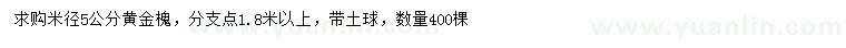 求購米徑5公分黃金槐