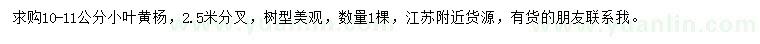 求購10-11公分小葉黃楊