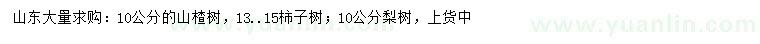 求購山楂樹、柿子樹、梨樹