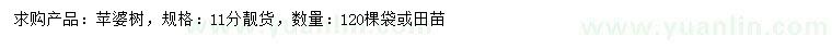 求購11公分蘋婆樹