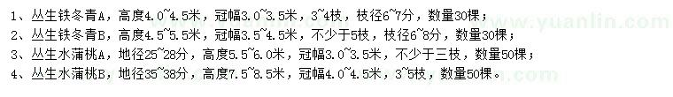 求購叢生鐵冬青、叢生水蒲桃