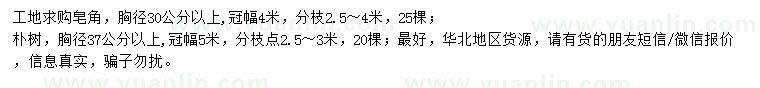 求購(gòu)胸徑30公分以上皂角、37公分以上樸樹