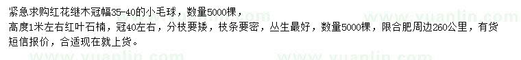 求購冠幅30-40公分紅花繼木毛球、高度1米左右紅葉石楠