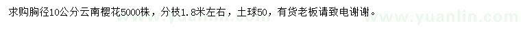 求購胸徑10公分云南櫻花