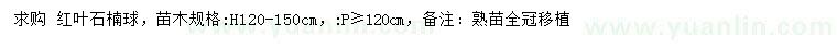 求購高120-150公分紅葉石楠球