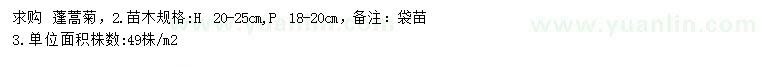求購高20-25公分蓬蒿菊
