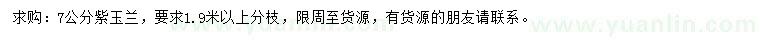求購7公分紫玉蘭