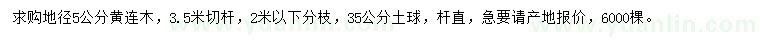 求購地徑5公分黃連木