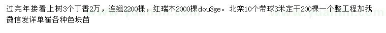 求購丁香、連翹、紅瑞木等