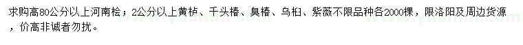求購河南檜、黃櫨、千頭椿等