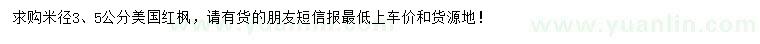 求購米徑3、5公分美國紅楓
