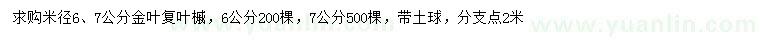 求購米徑6、7公分金葉復(fù)葉槭