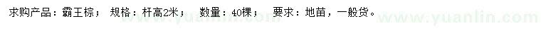 求購(gòu)高2米霸王棕