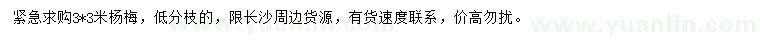 求購3*3米楊梅樹