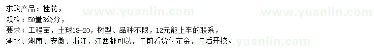 求購50量3公分桂花
