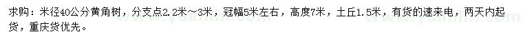 求購米徑40公分黃角樹