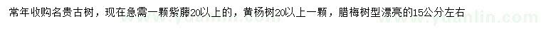 求購紫藤、黃楊、臘梅等