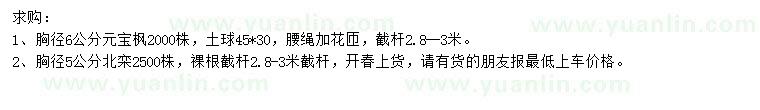 求購胸徑6公分元寶楓、胸徑5公分北欒