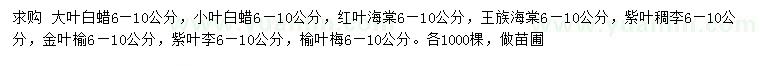 求購大葉白蠟、小葉白蠟、紅葉海棠等