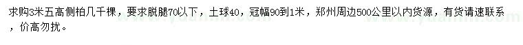 求購高3.5米側(cè)柏