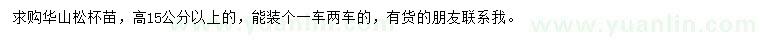 求購高15公分以上華山松