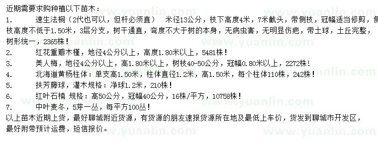 求購速生法桐、紅花重瓣木槿、美人梅等