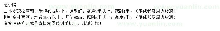 求購米徑45公分以上日本羅漢松、地徑25公分以上柳葉金桂