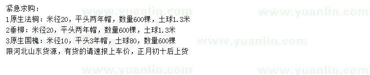 求購法桐、垂柳、國槐