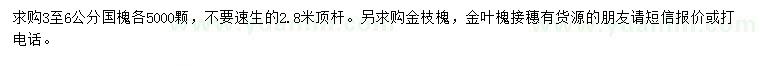 求購國槐、金枝槐、金葉槐接穗