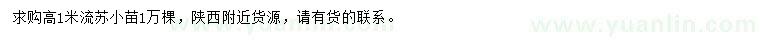 求購高1米流蘇小苗