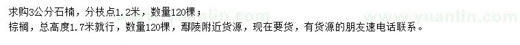 求購(gòu)3公分石楠、棕櫚