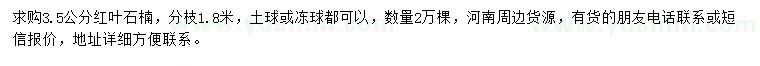 求購3.5公分紅葉石楠