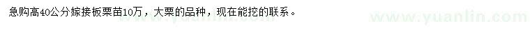 求購高40公分嫁接板栗苗