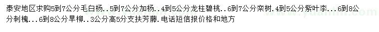 求購毛白楊、加楊、龍柱碧桃等