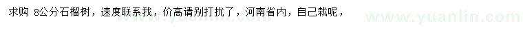 求購8公分石榴樹