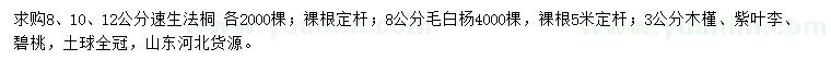求購速生法桐、毛白楊、木槿等