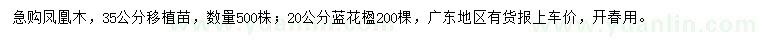求購35公分鳳凰木、20公分藍(lán)花楹