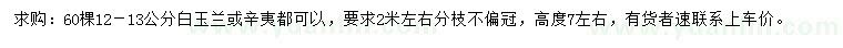 求購12-13公分白玉蘭、辛夷