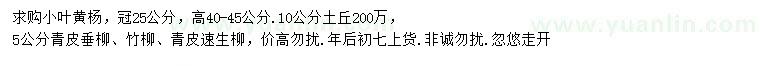 求購小葉黃楊、青皮垂柳、竹柳等